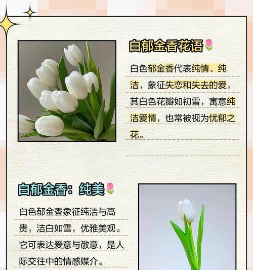 各种花语的传说是什么？花语背后有哪些神秘故事？
