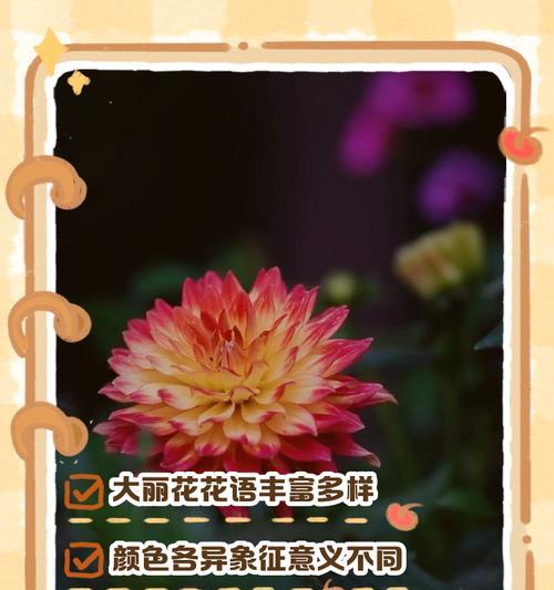 各种花语的传说是什么？花语背后有哪些神秘故事？