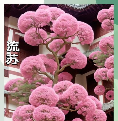 树的花语有哪些？它们各自寓意着什么？