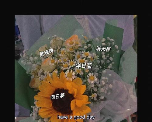 棕色满天星花语是什么？满天星花语有哪些含义？