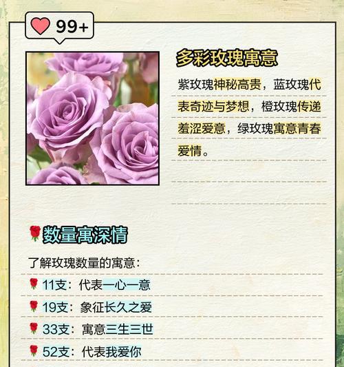 紫禁城玫瑰花语是什么？紫禁城玫瑰有何特别含义？