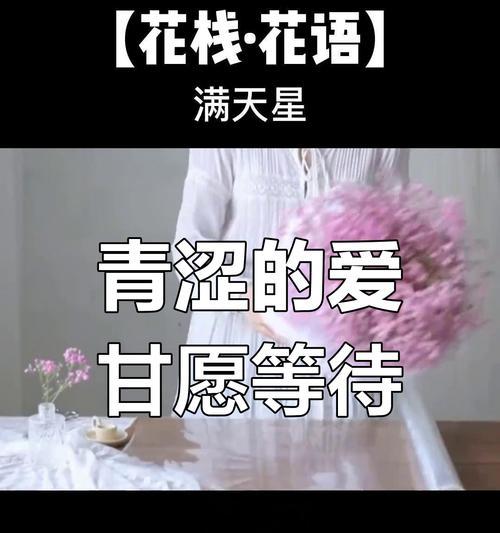 满天星花语片段是什么意思？