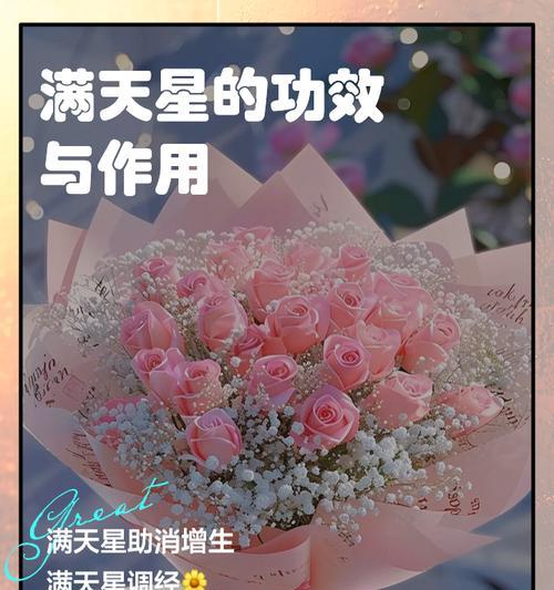 英国满天星花语有何特别之处？