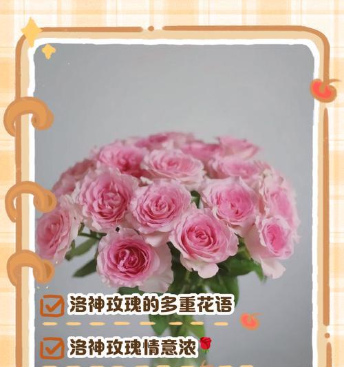 花语真的不可信吗？
