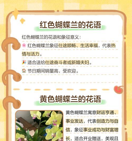 蝴蝶兰总体花语有何寓意？