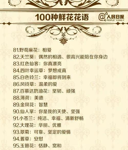 黄多头菊的花语代表什么含义？