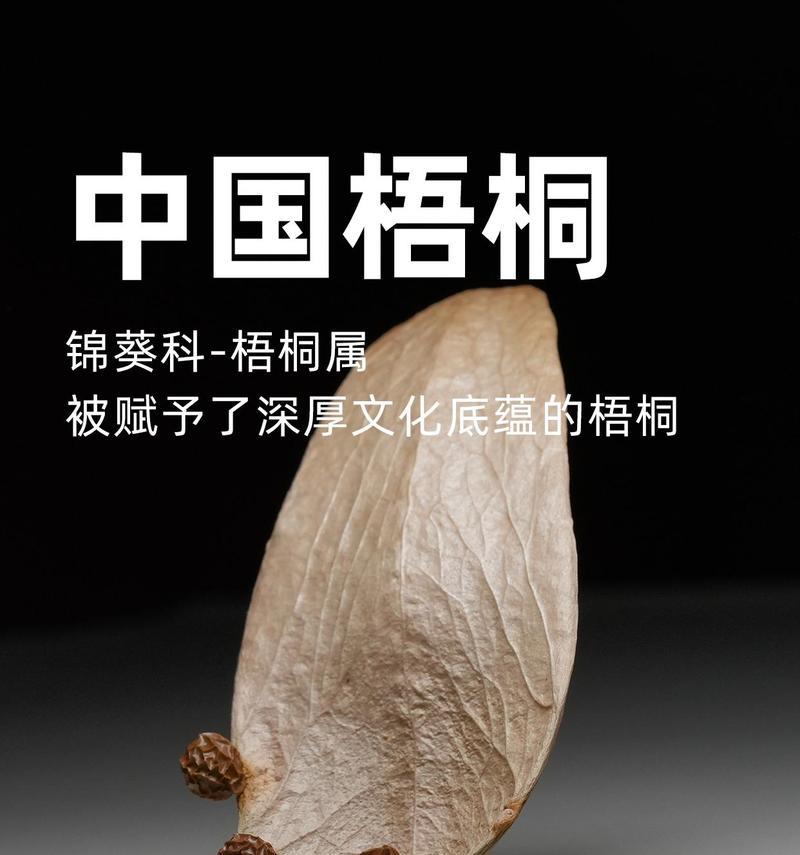 梧桐树的花语有哪些含义？