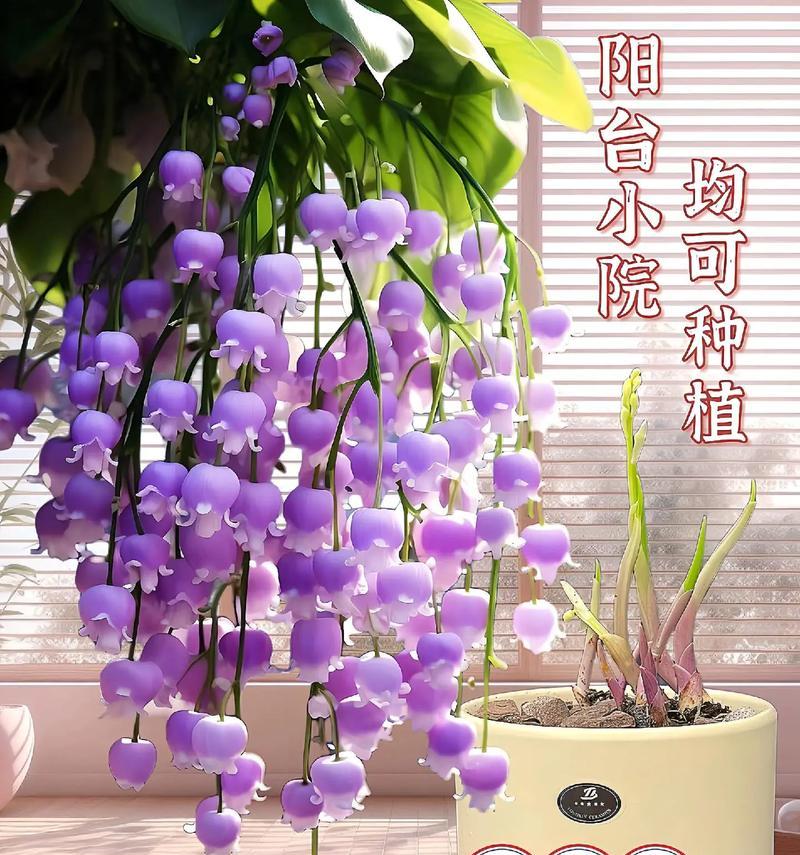 如何搜索特定花的花语？