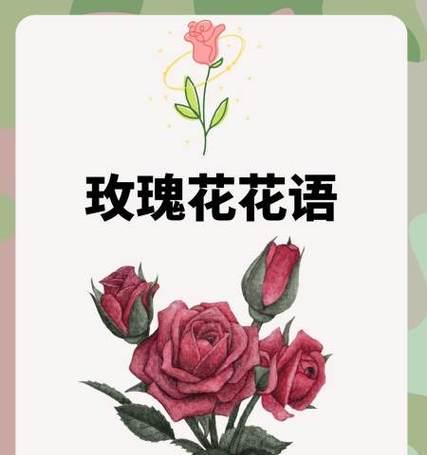 哪些花的花语与相见有关？