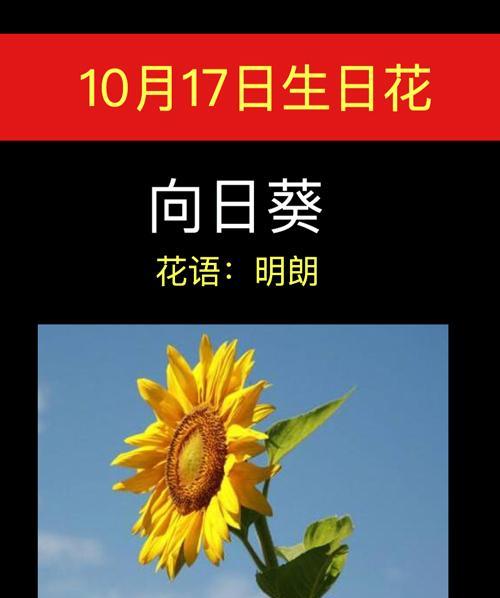 花语与月的传说是什么？它们之间有何联系？