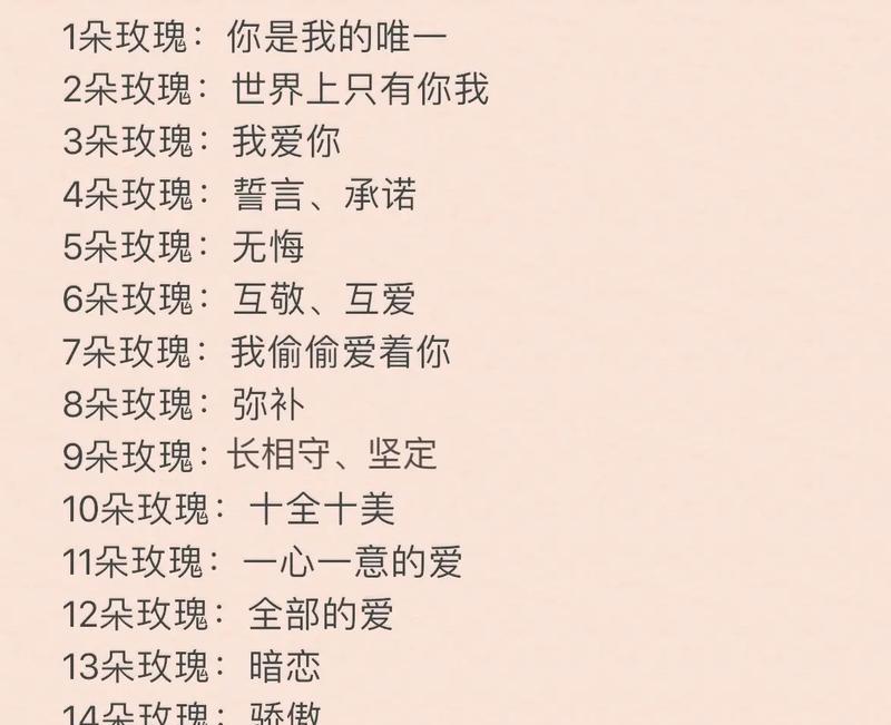妖精玫瑰花的花语是什么？它代表了什么？
