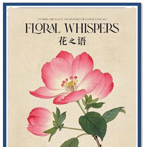 蹄花的花语是什么鱼？它们有什么特别的含义？