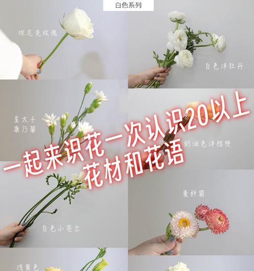蹄花的花语是什么鱼？它们有什么特别的含义？