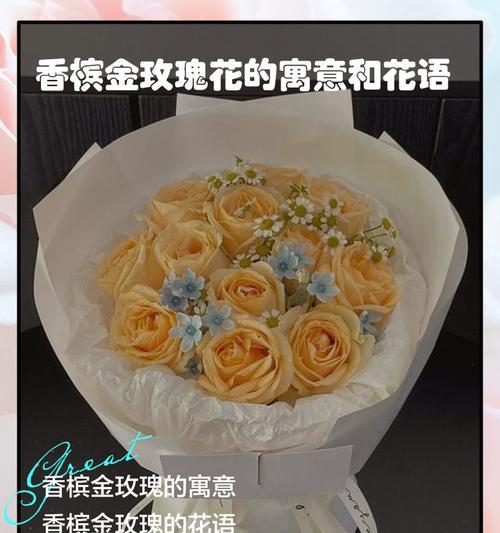 香嫔玫瑰的花语具体是什么？