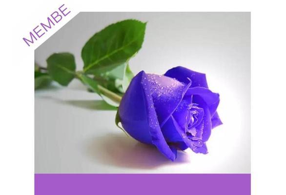 哪些花的花语代表了相伴？