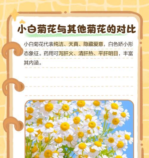 菊花的花语如何表达爱意？