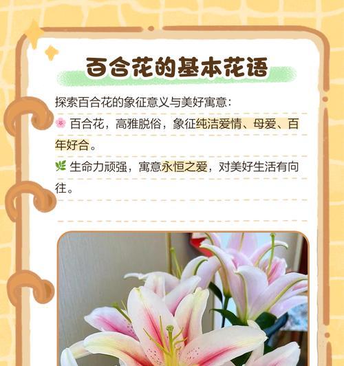 花语是一四事吗？花语的真正含义是什么？