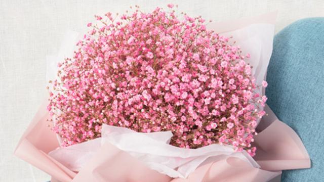 满天星几只花语是什么？满天星的花语有哪些含义？