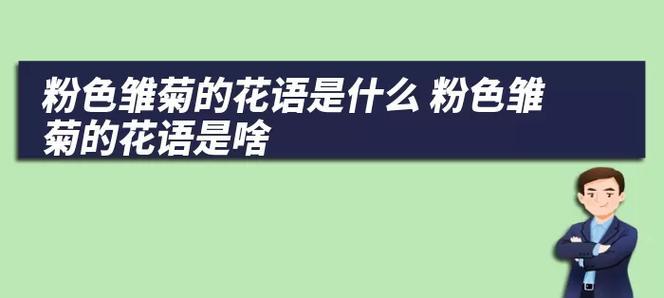 雏菊花语和象征是什么？雏菊的花语有哪些含义？