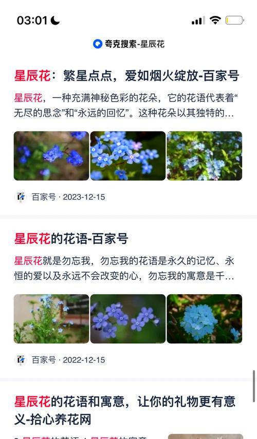 勿忘我话语花语是什么？勿忘我有哪些特别的含义？