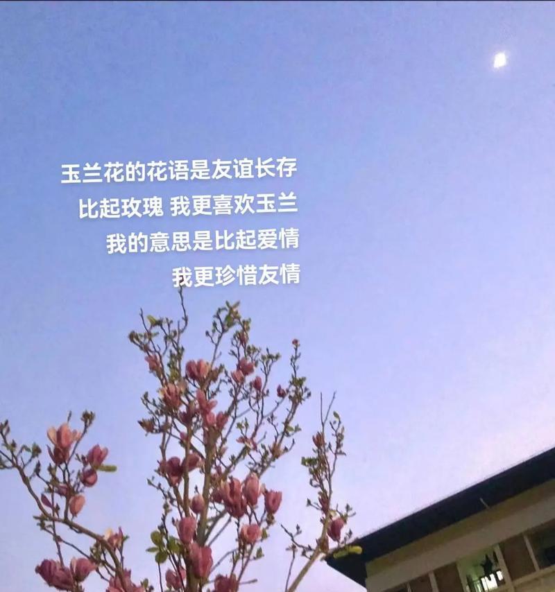别忘记我的花语是什么意思？如何表达花语？