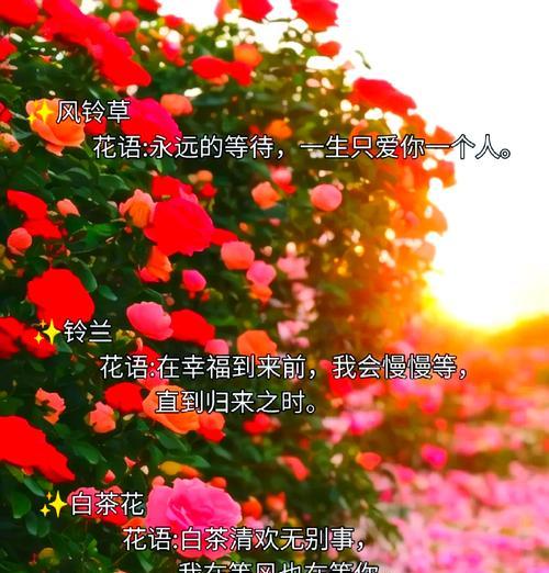 花语是难忘的花有哪些？难忘的花代表了什么？
