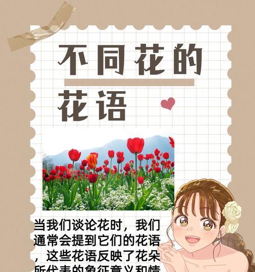 紫色扁竹兰花语是什么？扁竹兰的花语有哪些？