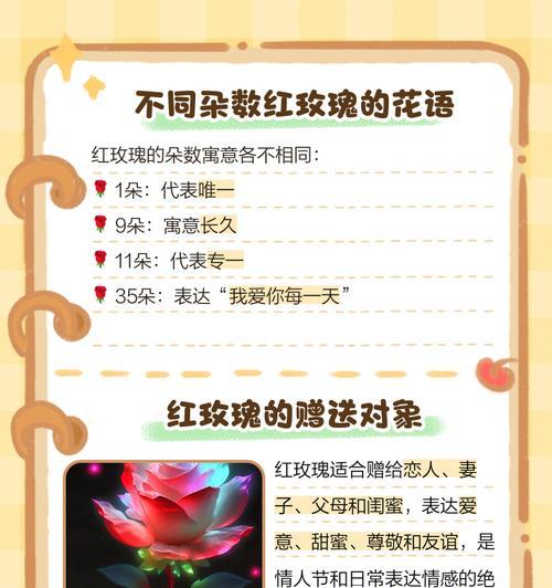 红玫瑰单支花语是什么？单支红玫瑰代表了什么？
