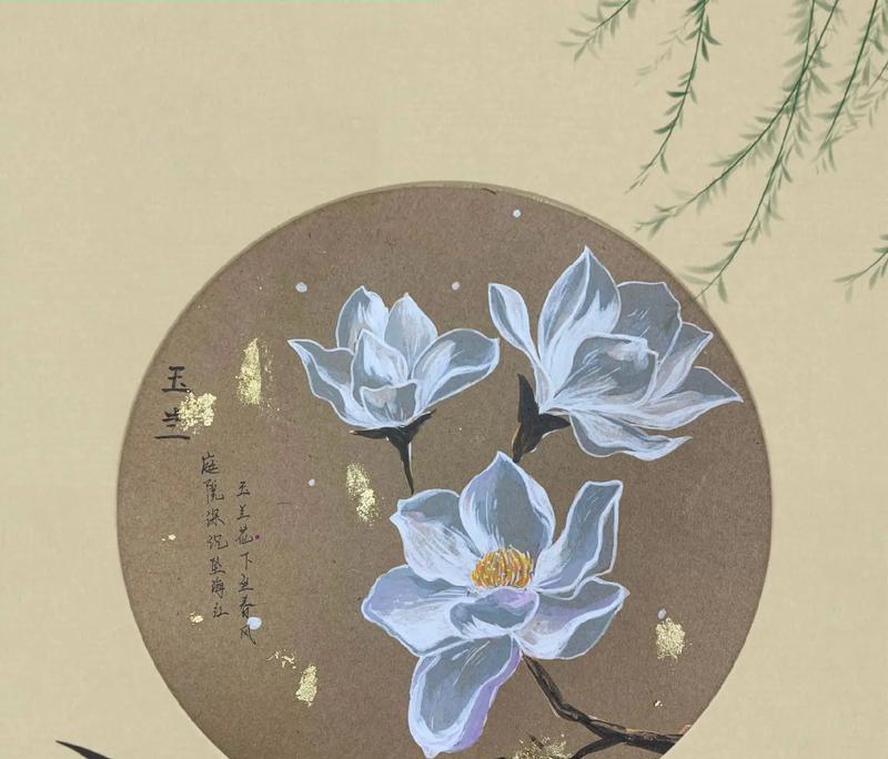 白玉草花的花语是什么？白玉草花代表了什么？