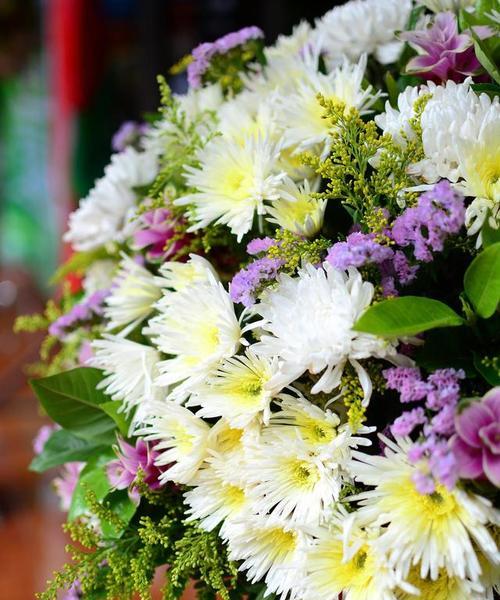 花语是逝去的花代表什么？如何表达哀悼之情？