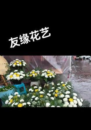 花语是逝去的花代表什么？如何表达哀悼之情？