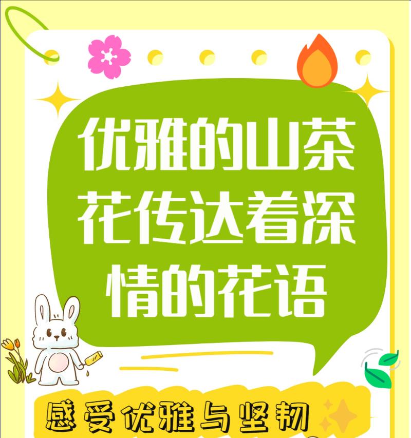 花的花语与传说有何关联？如何通过花语了解文化？