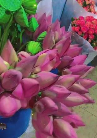 莲蓬加花的花语代表什么？莲蓬的寓意是什么？