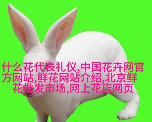 花语是动物的花有哪些？它们分别代表什么动物？