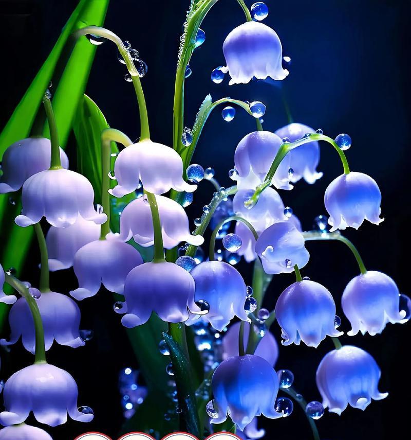 铃兰花花语传说有哪些？它背后的故事是什么？