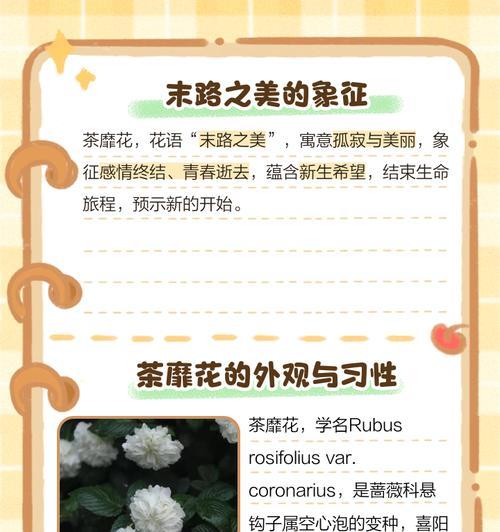 什么花的花语是繁华？繁华的花有哪些特点？
