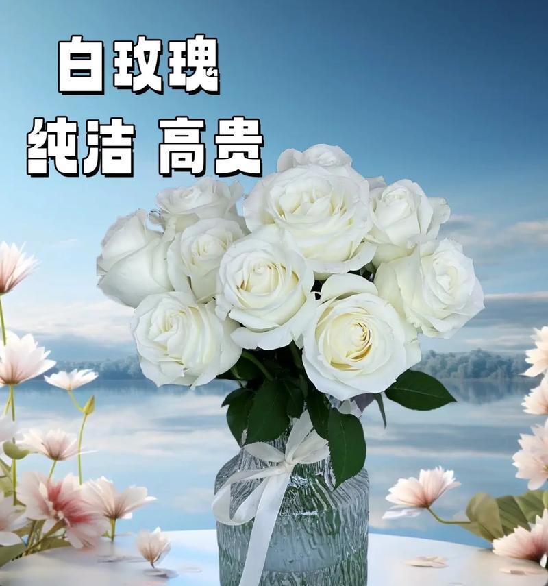 绿白玫瑰的花语是什么？绿白玫瑰的养殖技巧？