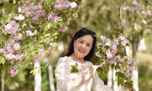 樱花之恋的花语是什么？樱花之恋的传说有哪些？