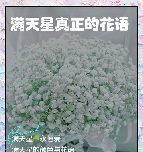满天星花语长辈是什么？如何用满天星表达对长辈的爱？