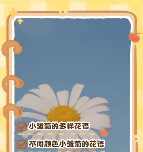 小雏菊花语早安代表什么？早晨送花的寓意有哪些？