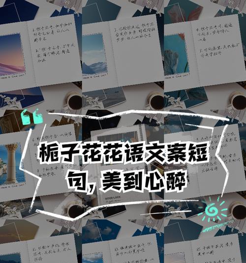 栀子花花语代表什么？栀子花的寓意有哪些？