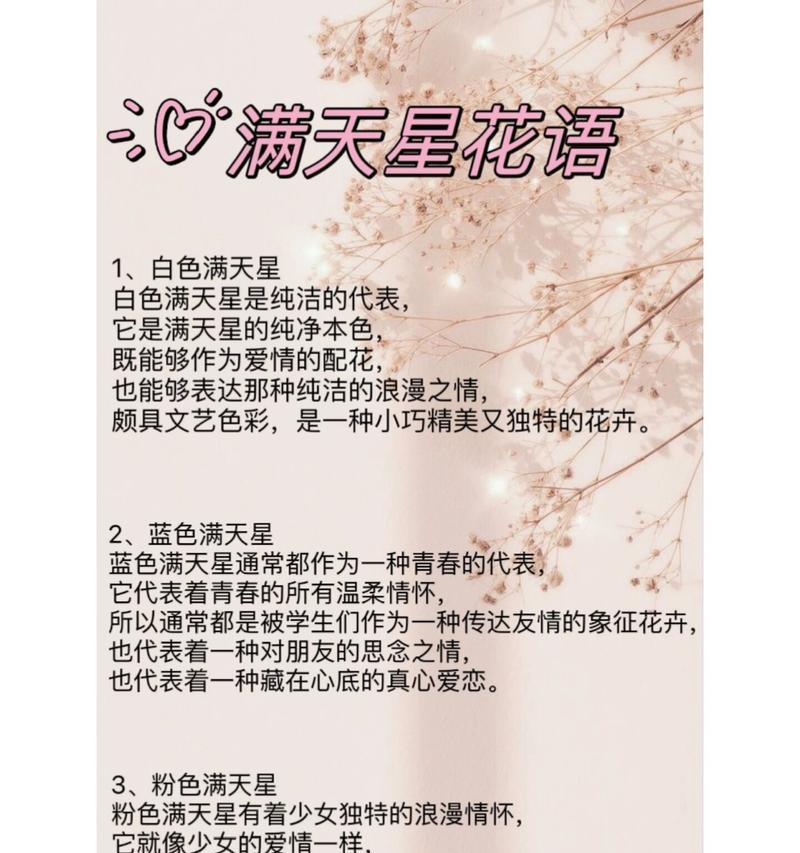 满天心的花语是什么？满天心花的寓意有哪些？