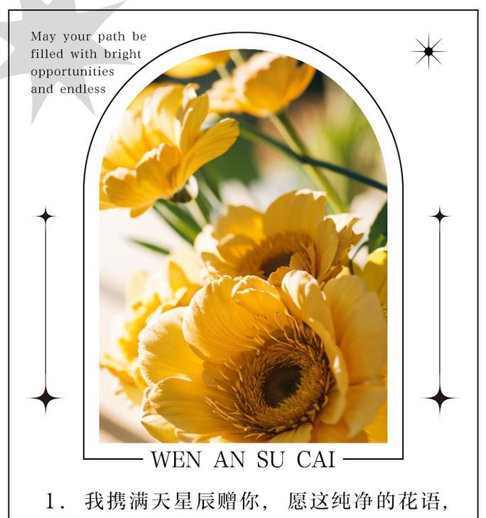 满天心的花语是什么？满天心花的寓意有哪些？