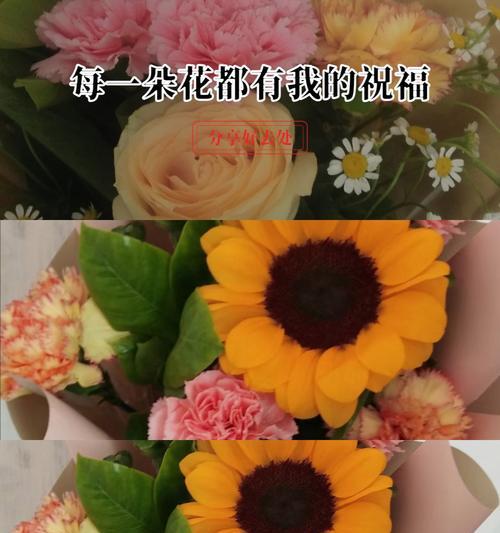 橙色小雏菊的花语是什么？如何用橙色小雏菊表达情感？