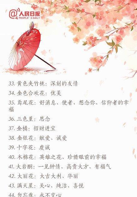 乒乓福娘的花语是什么？如何用乒乓福娘传递祝福？
