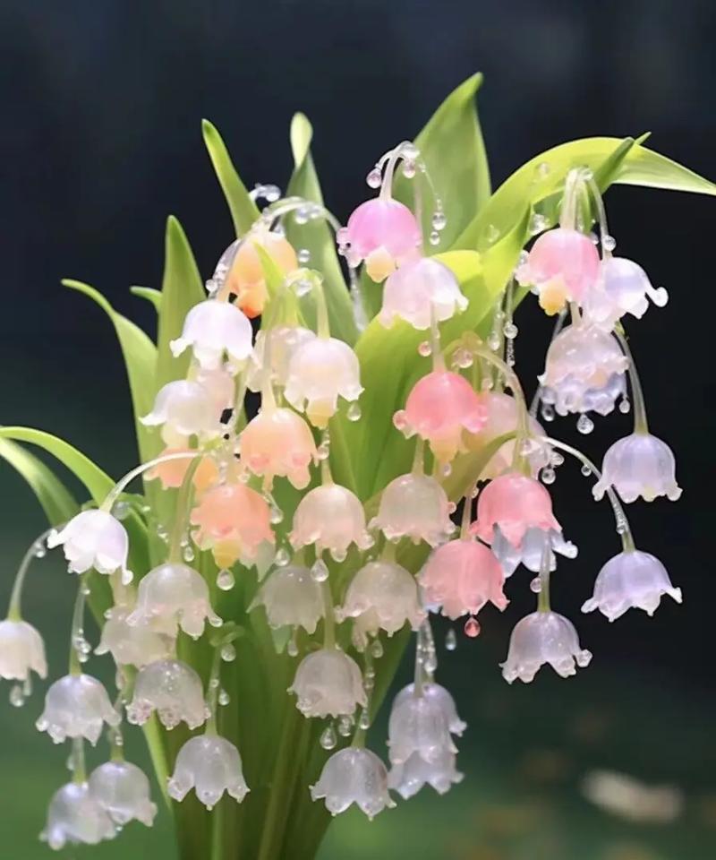 铃兰花的花语短句有哪些？如何用铃兰花表达情感？