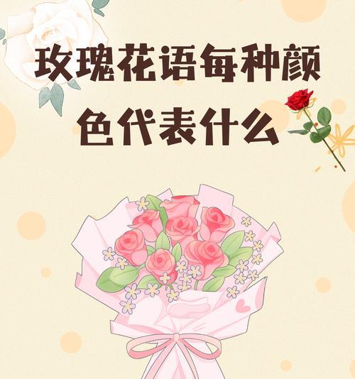 每种花语背后的故事是什么？如何通过花语了解文化？