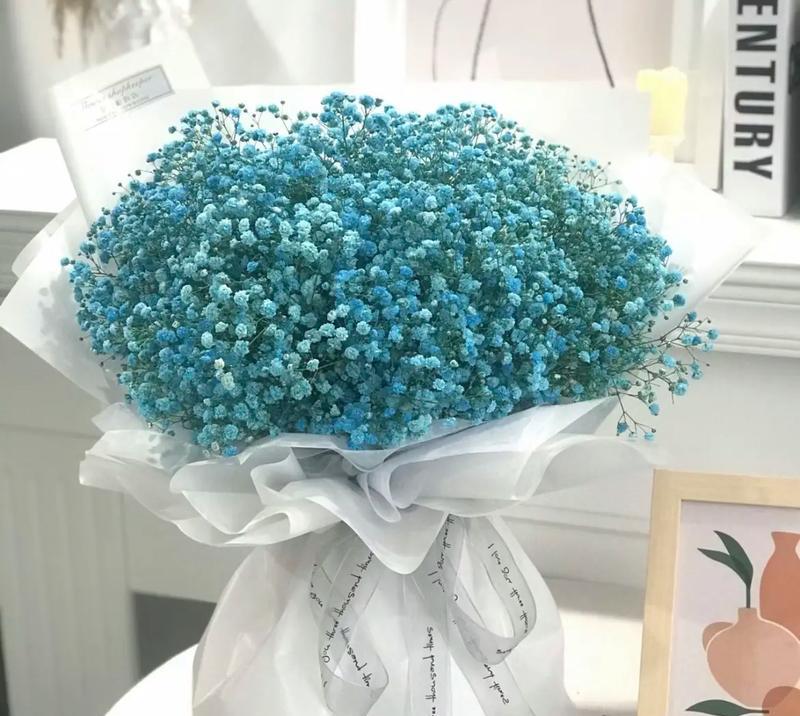 订婚时满天星的花语是什么？如何用满天星表达承诺？