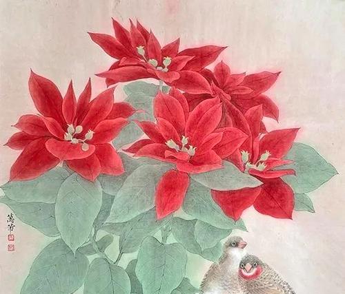 红色文心兰的花语是什么？代表什么情感？