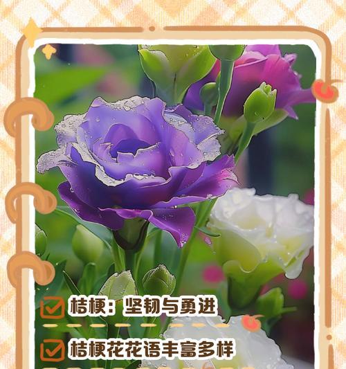 哪种花的花语是争夺？它象征着什么？